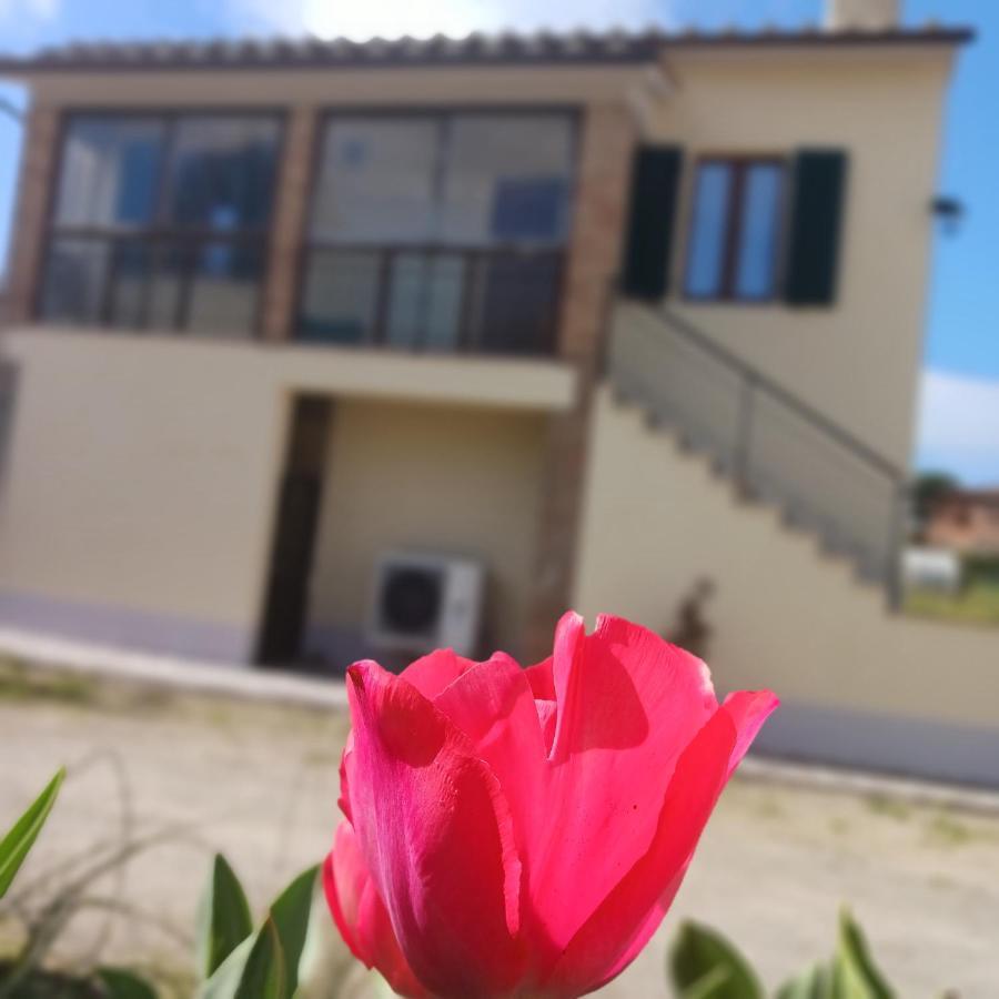 Casa Di Zio Villa Monticiano Bagian luar foto